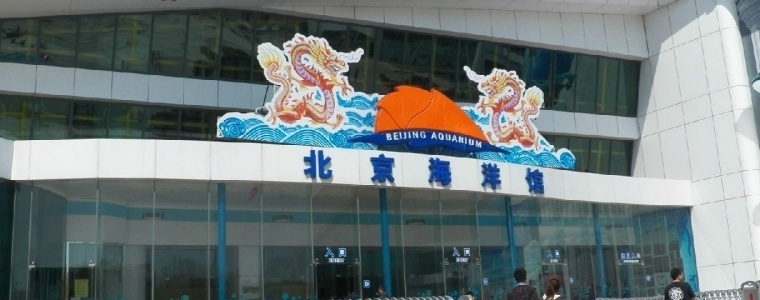 北京海洋馆旅游风景区图片