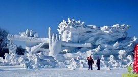 冰雪大世界-林海雪原