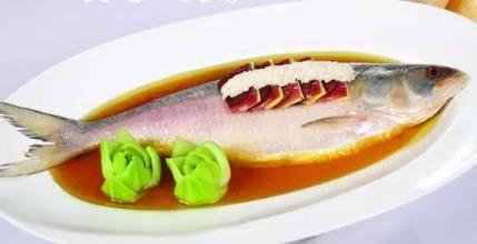 福山鲥鱼