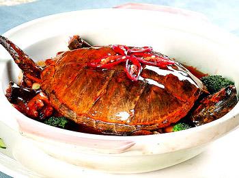红烧龟肉
