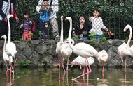 广州动物园新推动物课堂，这些课程既有趣又好玩
