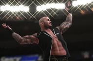 纹身设计师控告《WWE 2K》系列侵权，获得胜诉