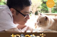 猫奴们快承包电影院！人气手游《猫咪后院》真人（猫）电影化！