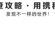 必吃！横扫上海滩美食街的超实用攻略来了！