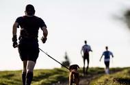 注意这9点，让狗狗和你一起享受跑步的乐趣
