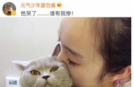 第一波｜和猫咪玩亲亲它们是什么反应？猫竟然抗拒得哭了！