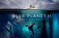 《蓝色星球2》：豆瓣9.9，差的那0.1分就是我们的良心