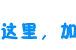 还在云养猫？这些地方分分钟捡到猫