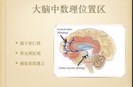 0-3岁：数学培养高智商之空间感启蒙游戏