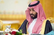 王子被抓的“宫斗”背后，是盘攸关沙特未来的棋