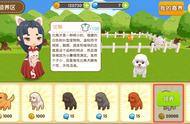 元气萌犬屋：献给所有热爱萌犬的铲屎官