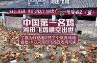 丁磊王兴在福建投资养鸡场，网易将送10万只真鸡给吃鸡游戏玩家