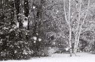 除冰雪，战火魔！消防员的冰与火之歌