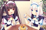 老任你变了！Steam著名黄油《NEKOPARA》将登陆NS