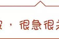 探索未知的区域，解谜岛上不为人知的秘密