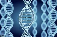 基因突变，基因重组，染色体变异相关知识点