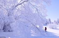 散文随笔：醉雪寻梦 落雪成诗