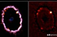 NASA 霉菌黏液模模拟绘制宇宙中的暗物质图