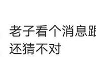 那些网上很火却不懂的梗，我找阳阳姐确认过了