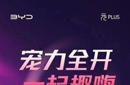 #元力一周年  感恩20万  元PLUS周年开启专属宠粉时刻