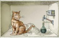 薛定谔的猫实验在我们实际生活中有什么应用吗