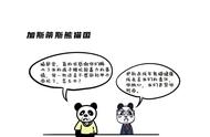 学法熊猫养成记|第五期