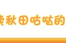 FGO：最希望哪个从者出现在白情礼装上？日媒不到200人的调查结果