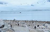 南极探险：找一片寂寥大地，安放流浪的灵魂