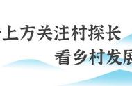 百果争鸣！重庆这些地标水果，照着挑就行