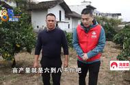 美丽新生活 魅力新农人：退伍特种兵卖水果 一年卖一个亿