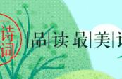 【诗词鉴赏】古诗词里的绣球花，开满整个夏季！