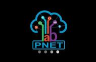 强烈推荐：网工利器PNETLab模拟器