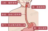 胃为什么会反酸？反酸烧心怎么办？2种方法来调理，难受胃部缓解