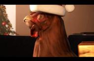 《CS：GO》官方搞怪圣诞祝福 葫芦娃救鸡，图谋不轨