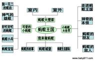 幼儿园主题游戏：蚂蚁觅食总动员