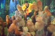 《西游记》中最厉害的一群小妖是谁？竟然比花果山的群猴厉害？