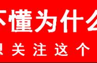 “红海”之下，这只小猪为何一路狂奔！