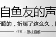 我的龙鱼王者修炼记，秘籍其实很简单