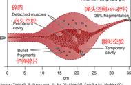 来简单谈谈子弹的杀伤力，不同的子弹造成的毁伤有什么不同