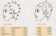 剪发必修课：修剪头发要点及步骤，“分区”剪发最重要，值得学习