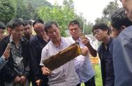 黔西县紧扣产业发展“八要素” 推进养蜂产业大发展