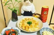 猫咪主厨的午餐时间到啦，快来看看它又做了什么好吃的
