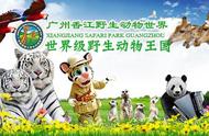 广州长隆野生动物世界完整攻略丨暑假来了，带着孩子出发吧！