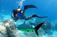 世界第一潜水圣地 塞班岛潜水全攻略