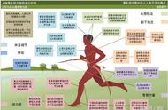 提升耐力的3大类10种跑法，你跑过多少种呢？