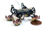 这种小型机器人除了能在陆上行走外，还能在水下游泳和行走！
