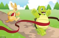 另类童话故事：龟兔赛跑的真相