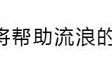 「11月17日」机会来了，让我做你的猫