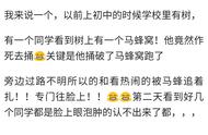 上学时总会有一个牛逼上天的同学，看看网友遇到哪些作死上天的吧