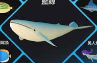 养鱼了解一下？——《深海水族馆》